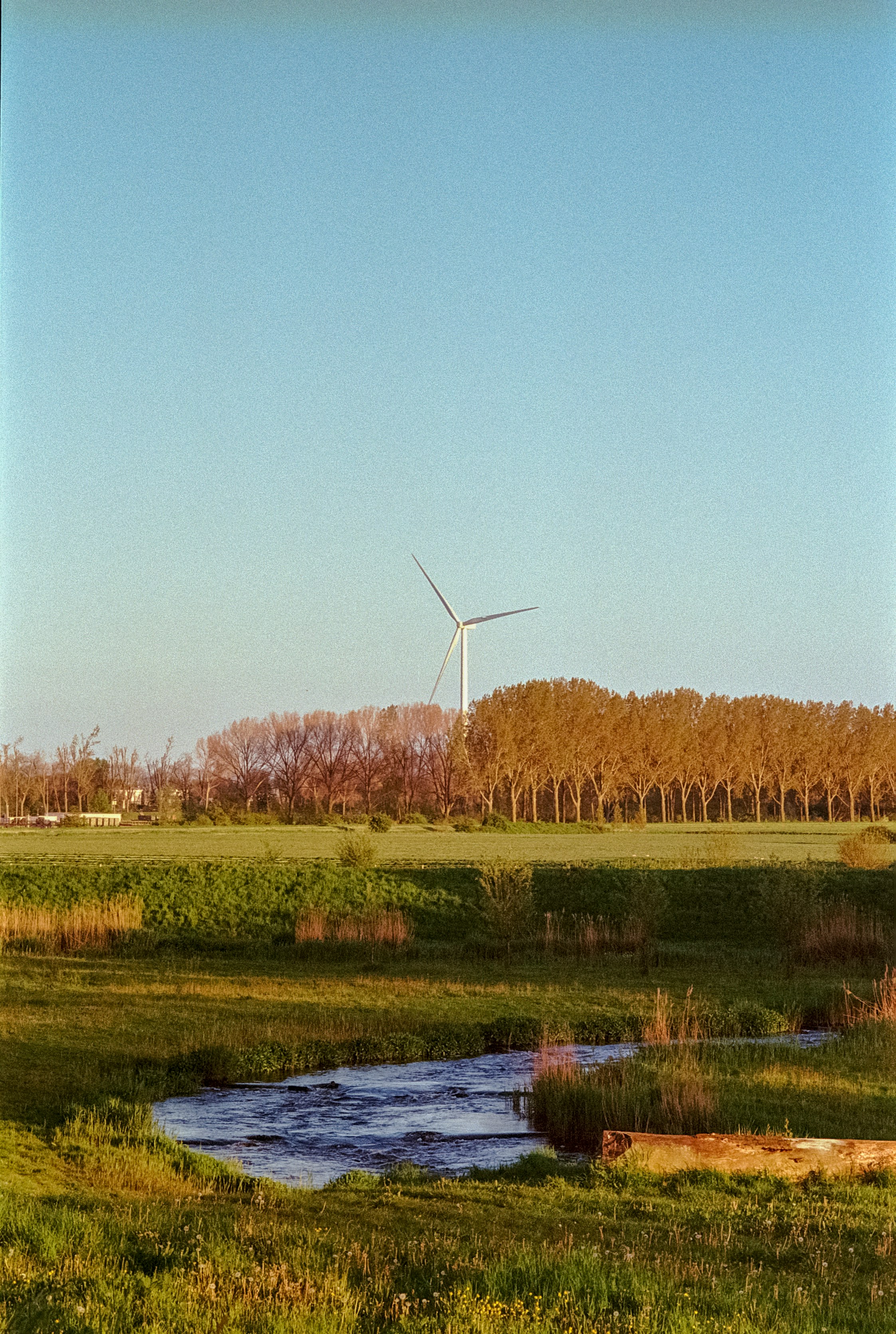 Renewable Energy Initiatives